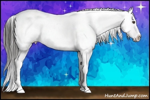 Horse Color:Liver Chestnut Snowflake Varnish