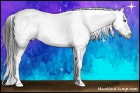 Horse Color:Liver Chestnut Snowflake Varnish