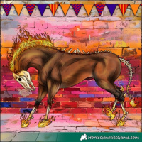 Horse Color:Bay 