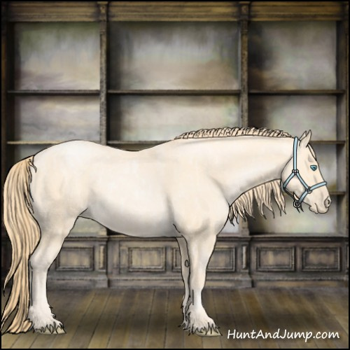 Horse Color:Buckskin Roan Pearl and Buckskin Roan Pearl