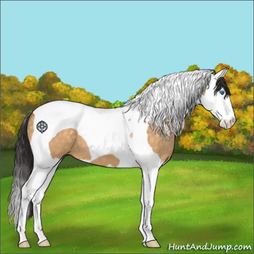 Horse Color:Buckskin Dun Splash Tobiano 