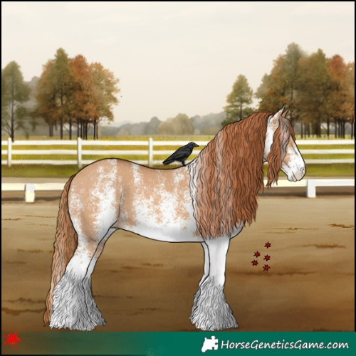 Horse Color:White Spotted Red Dun 