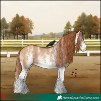 Horse Color:White Spotted Red Dun 