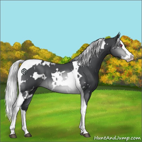 Horse Color:White Spotted Silver Brown Chinchilla Mushroom Splash Tobiano 
