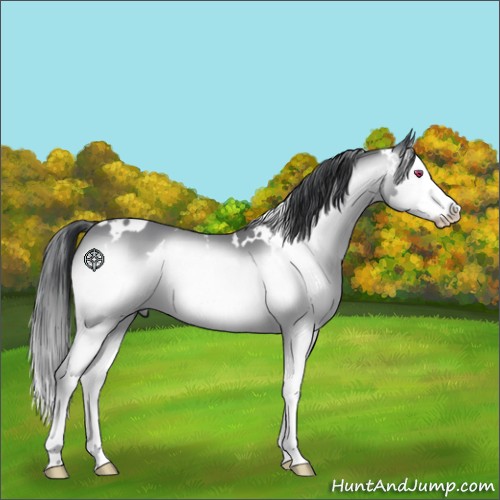Horse Color:White Spotted Brown Chinchilla Sabino Splash 