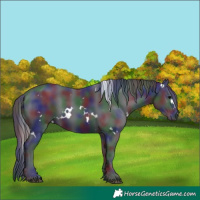 Horse Color:Nacre White Spotted Black 