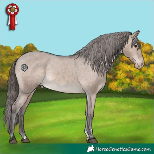 Horse Color:Brown Dun Appaloosa 