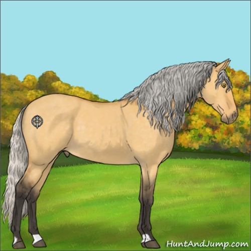Horse Color:Silver Buckskin Dun 