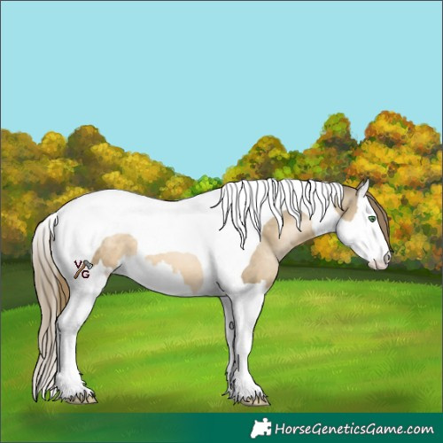 Horse Color:Smoky Black Pearl Splash Tobiano 