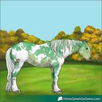 Horse Color:Watercolor White Spotted Silver Smoky Black