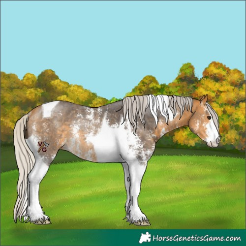 Horse Color:Silver Buckskin Sabino Tobiano Rabicano 