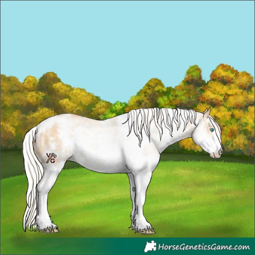 Horse Color:White Spotted Silver Buckskin Pearl 