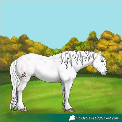 Horse Color:Silver Brown Sabino 