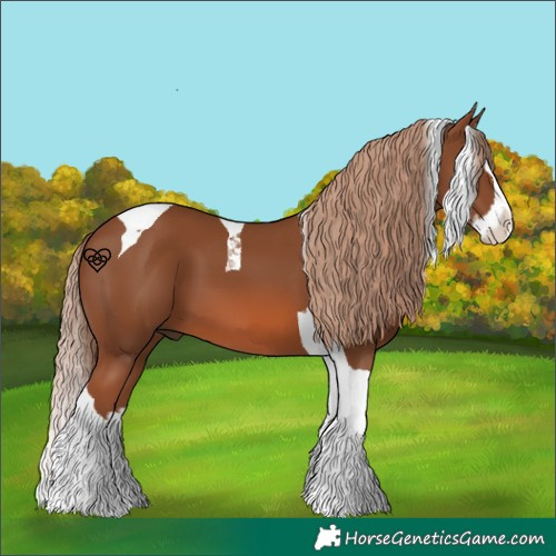 Horse Color:Chestnut Splash Tobiano