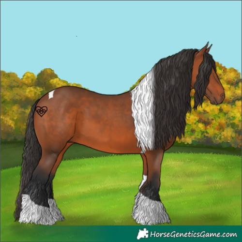 Horse Color:Bay Tobiano 