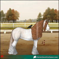 Horse Color:White Spotted Red Dun Roan Splash