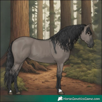 Horse Color:Grullo 