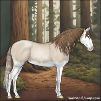 Horse Color:Grullo Pearl Splash 