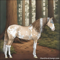 Horse Color:White Spotted Grullo Pearl Splash 