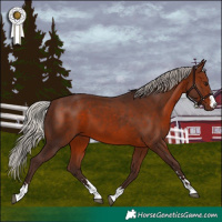 Horse Color:Silver Brown 