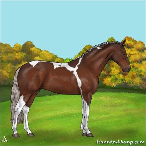 Horse Color:Silver Brown Tobiano 