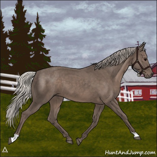 Horse Color:Silver Black