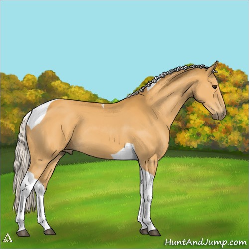 Horse Color:Silver Buckskin Tobiano 