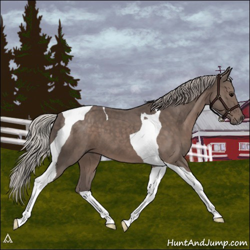 Horse Color:Silver Black Tobiano