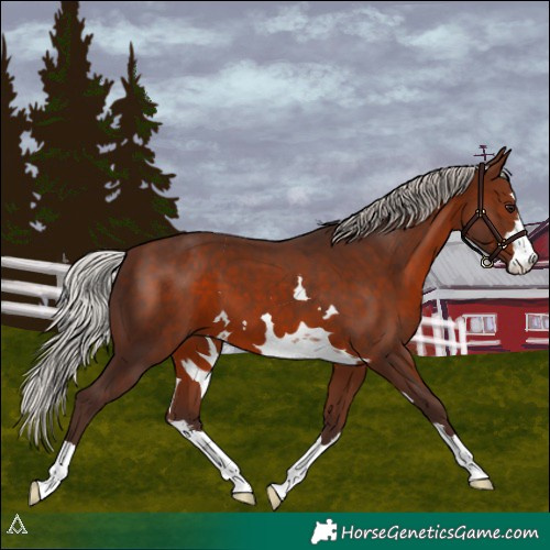 Horse Color:Silver Brown