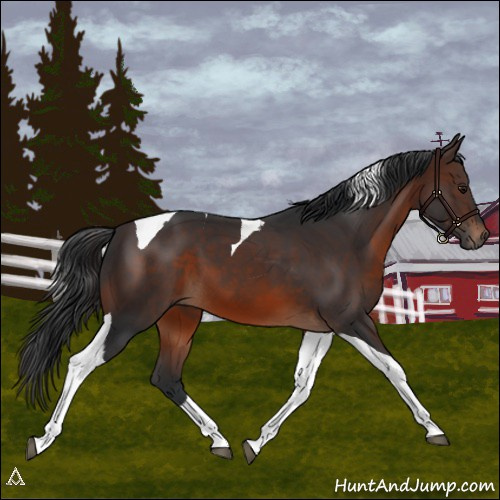 Horse Color:Brown Tobiano