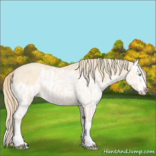 Horse Color:Perlino Splash and Perlino Splash