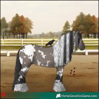 Horse Color:White Spotted Grullo 