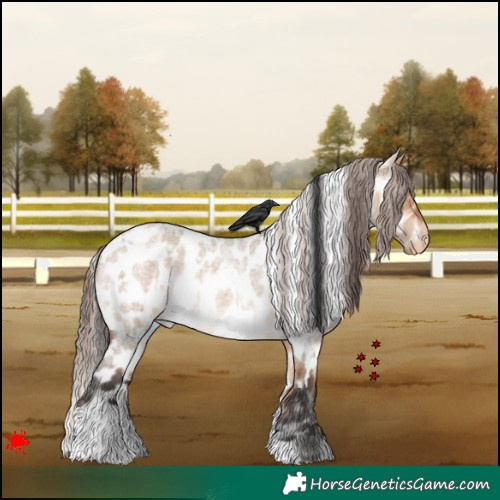 Horse Color:White Spotted Bay Roan Dun Appaloosa 