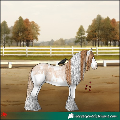 Horse Color:White Spotted Red Roan Splash