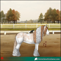 Horse Color:White Spotted Red Roan Splash 