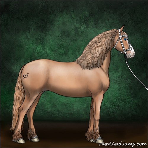 Horse Color:Gold Champagne Splash