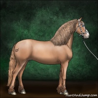 Horse Color:Gold Champagne Splash 
