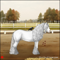 Horse Color:White Spotted Silver Bay Dun