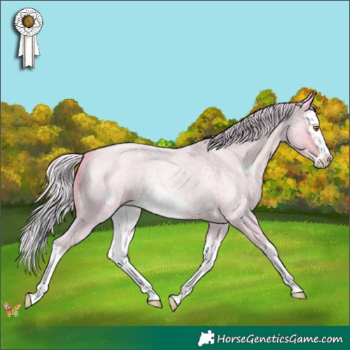 Horse Color:Watercolor Silver Classic Champagne Roan Splash Frame 