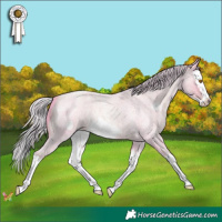 Horse Color:Watercolor Silver Classic Champagne Roan Splash Frame 