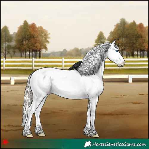Horse Color:White Spotted Palomino Roan Pearl Dun Splash Frame Appaloosa 