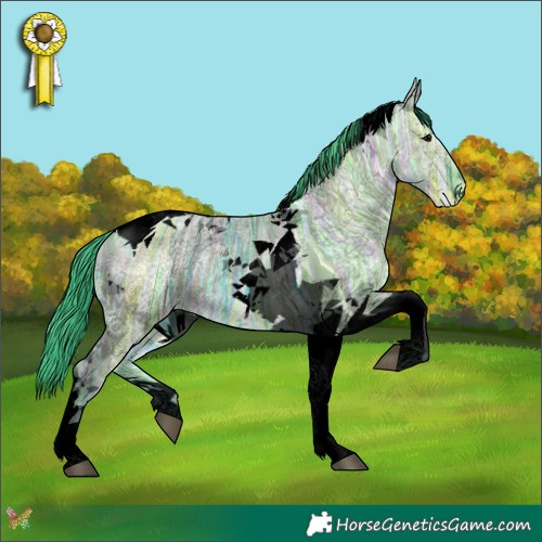 Horse Color:Void Watercolor Grullo Ice Tobiano 