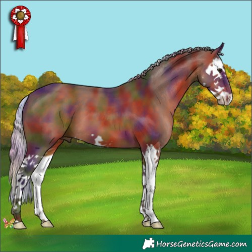 Horse Color:Nacre Silver Brown Splash 