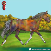 Horse Color:Nacre Silver Brown Tobiano 
