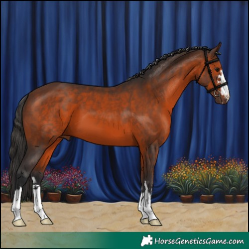 Horse Color:Brown 