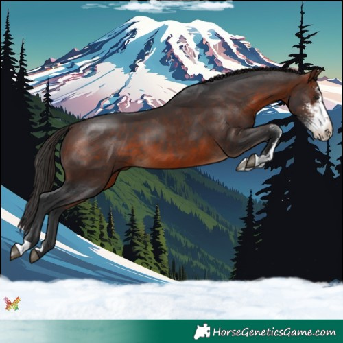Horse Color:Brown Sabino 