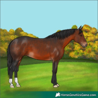 Horse Color:Brown 