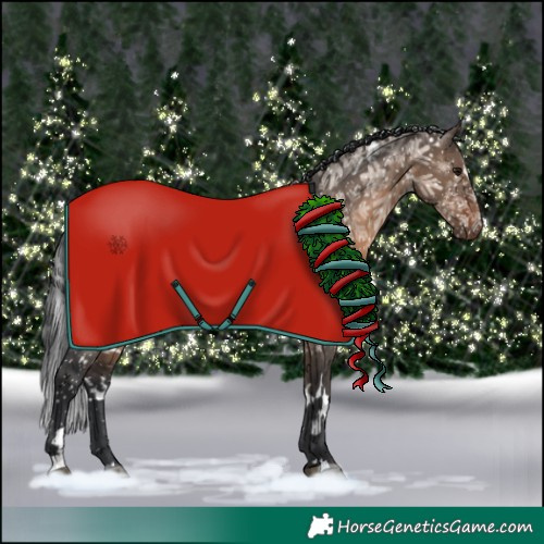 Horse Color:White Spotted Brown Dun 