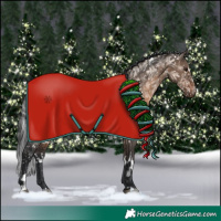 Horse Color:White Spotted Brown Dun 