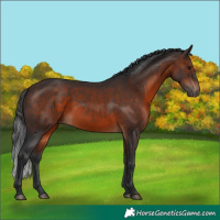 Horse Color:Brown 